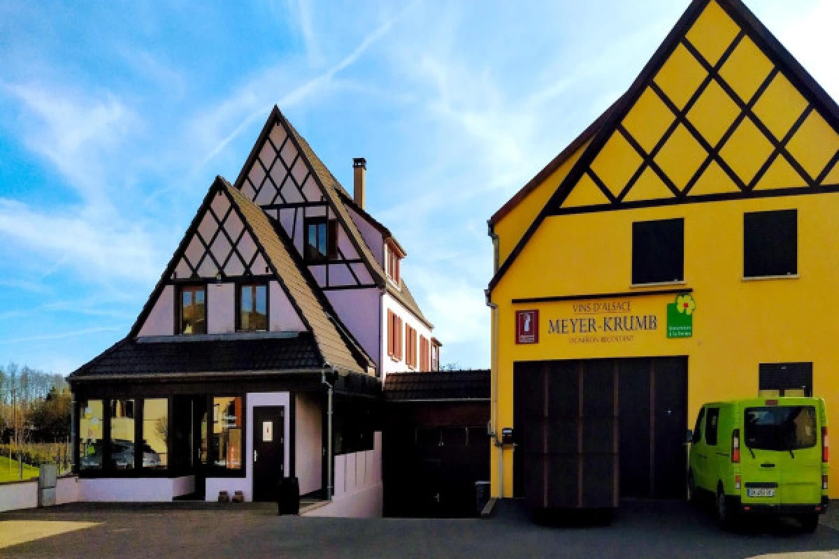 “Wine and Music” concert and tasting evening - Bonjour Alsace